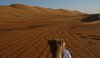 00598-Oman-Dubai-0950-P1050412