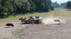 02770-Schotland-2018-FZ200-K-P1030799-Sml